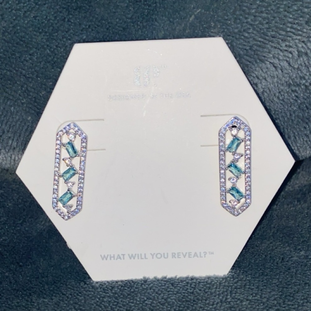 Stunning Silver and Teal Earrings